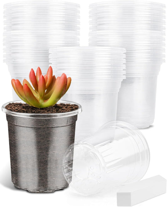 PACETAP 60Pack 3.5 Inch Reinforced Clear Nursery Pots with Drainage Holes, Variety Pack Plastic Plant Pots with 20 Plant Labels for Indoor Outdoor Flower Seed Starter