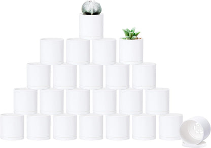 D'vine Dev 24 Pack 2 Inch Mini Plastic Plant Pots, Small Garden Planters for Plant with Drainage Holes and Saucers, White Color, 74-Z-A-6