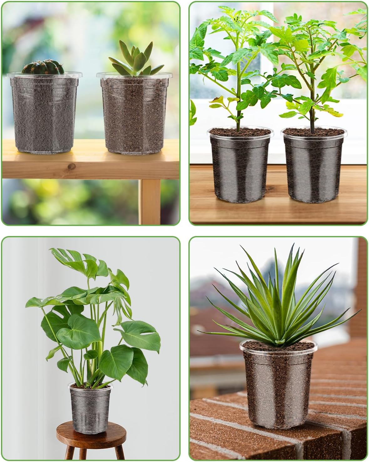 PACETAP 60Pack 3.5 Inch Reinforced Clear Nursery Pots with Drainage Holes, Variety Pack Plastic Plant Pots with 20 Plant Labels for Indoor Outdoor Flower Seed Starter