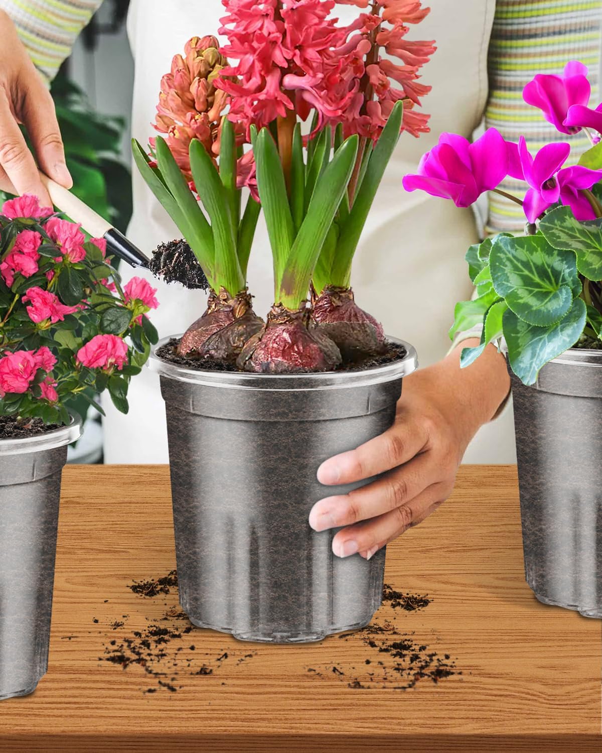 PACETAP 15Pack 6.5 Inch Reinforced Clear Nursery Pots with Drainage Holes, Thickened Plastic Plant Pots with 15 Plant Labels for Indoor Outdoor Flower Seed Starter