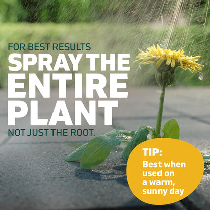 Spruce Weed Killer Refill - Versatile Weed & Grass Killer₂ for Flower Beds, Driveways & Mulch Beds - No Pour, No Mix, No Mess Refill - Kills Dandelions, Crabgrass & More (64 Oz)