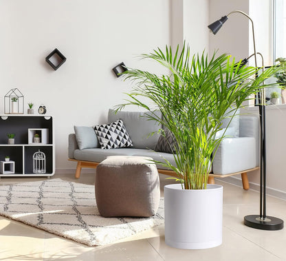 D'vine Dev 2 Pack 14 Inch Modern Plastic Plant Pots, Small Garden Planters for Plant with Drainage Holes and Saucers, White Color, 74-Z-Q-1